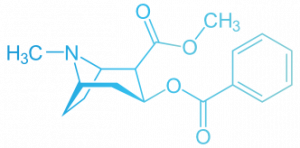 Strukturformel Kokain